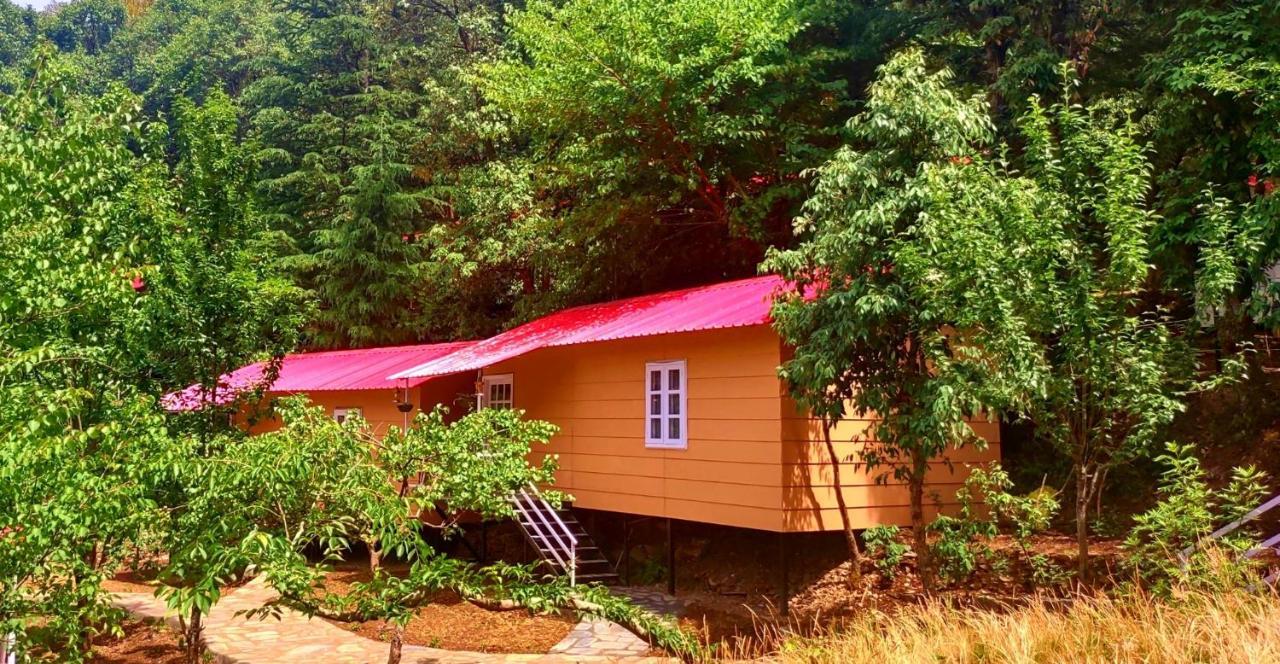Aaroham Resort, Šimla Exteriér fotografie